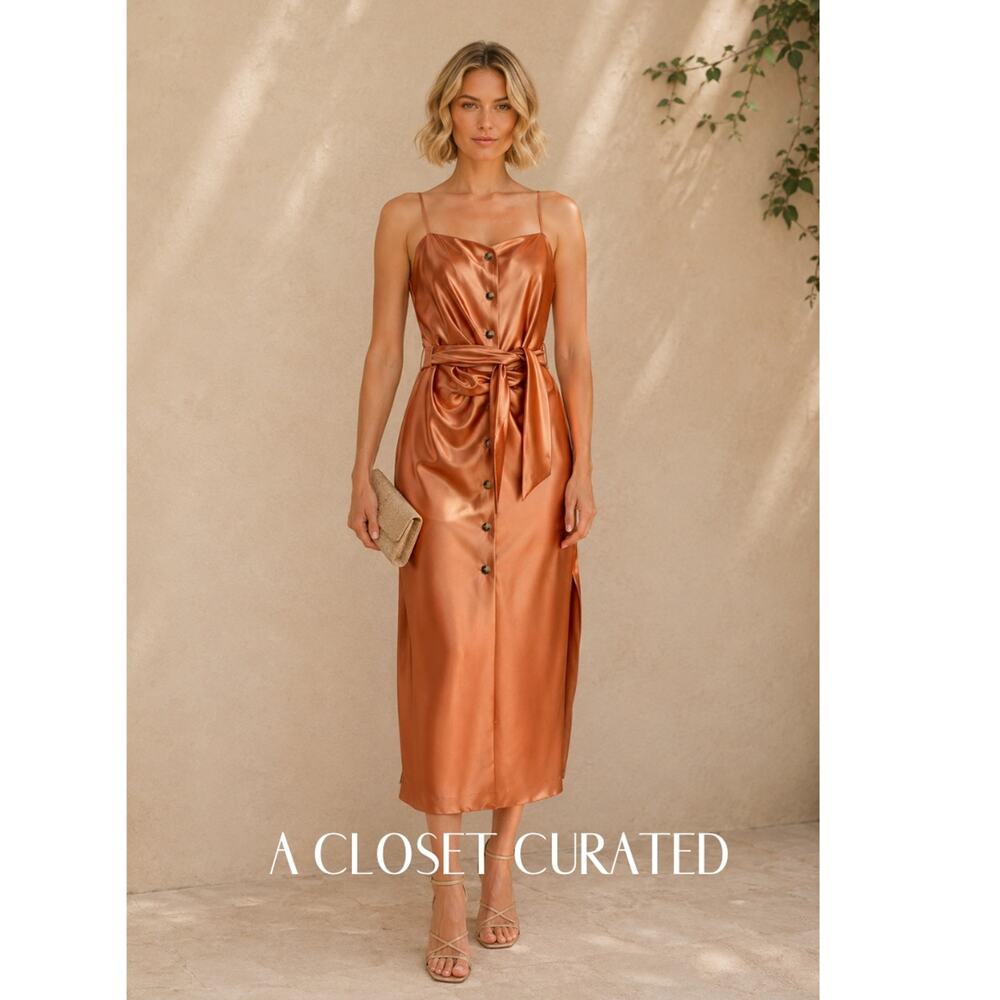 Nanushka Dress Medium